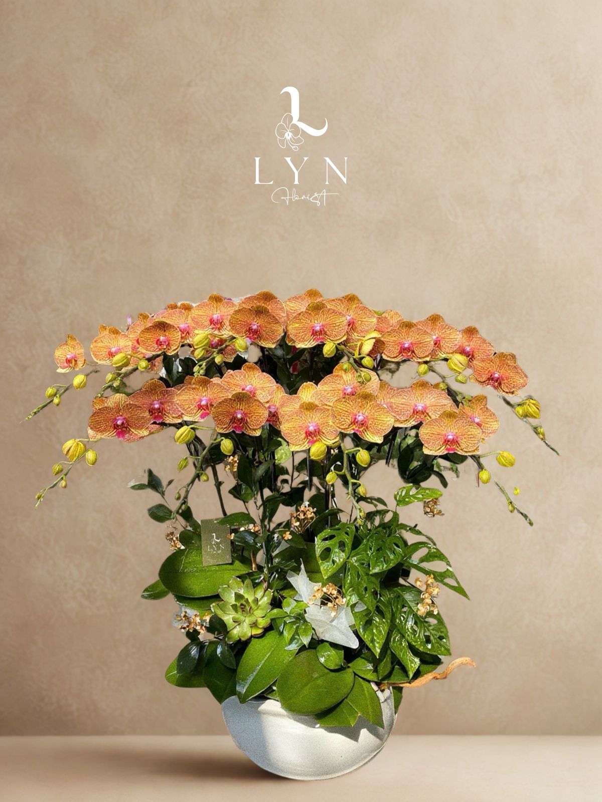 Chậu Hoa Lan Cam Sọc